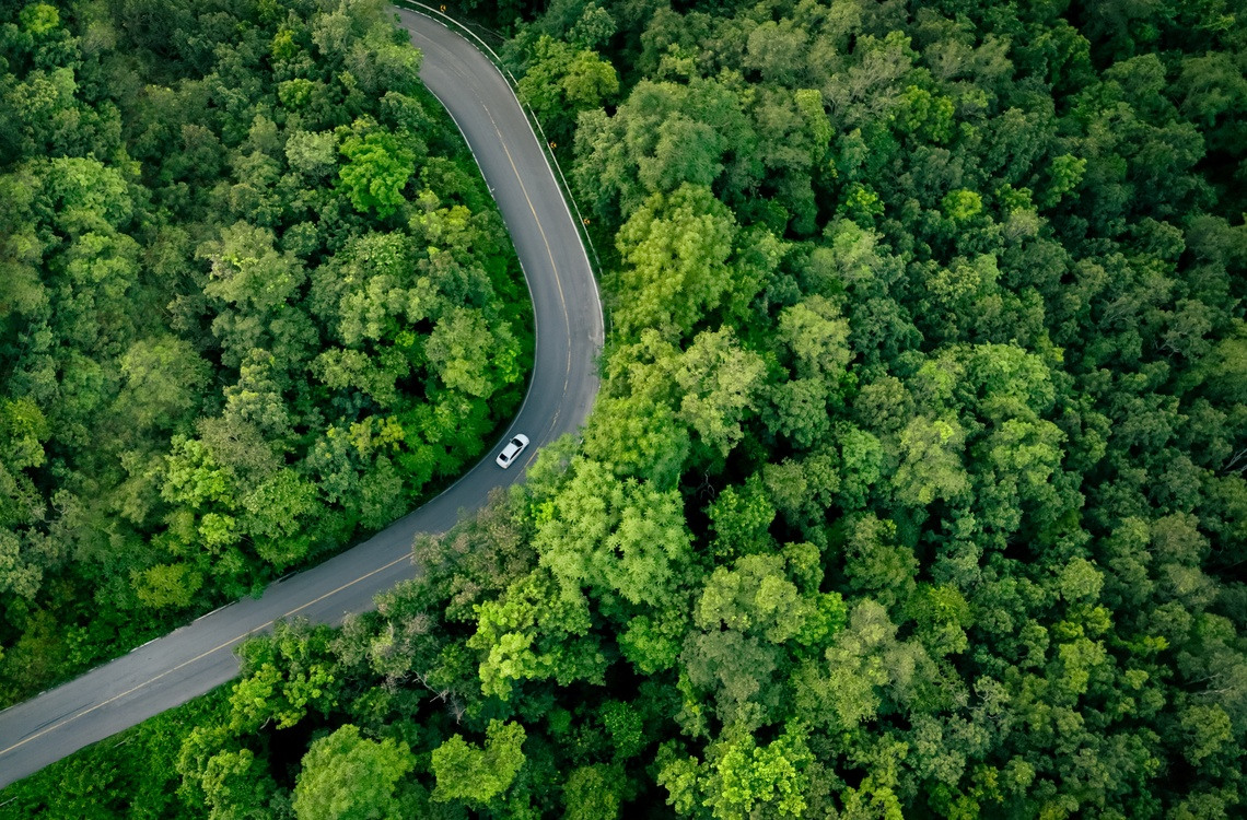 green forest car road Sustainable Mobility Sustainability Kleber
