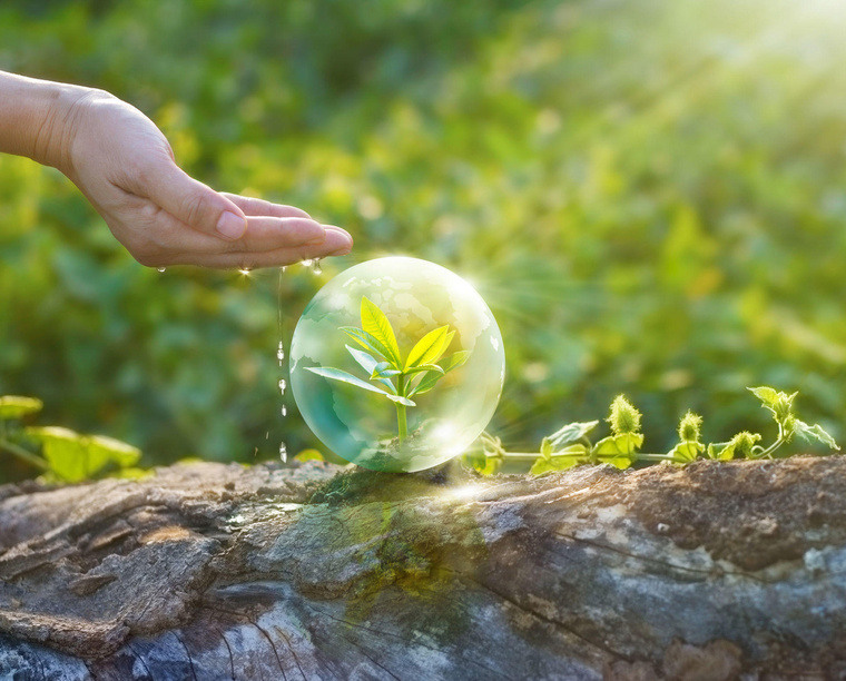 image sustainable
