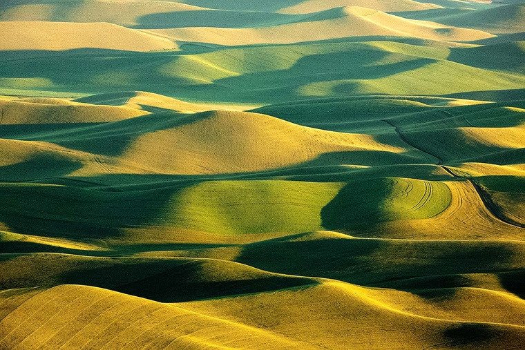 photos farmland wheat crops