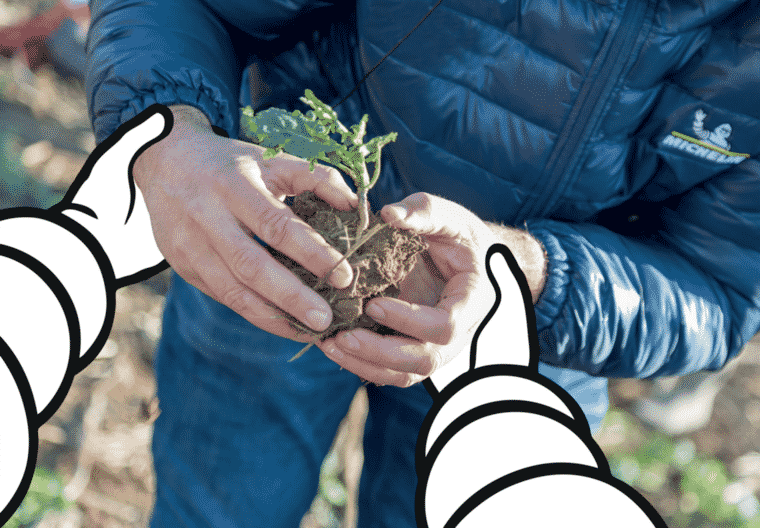 picto image mainplant zenaterra full agriculture