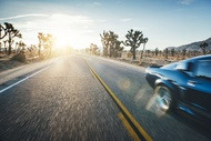 mustang 1 mustang 1
