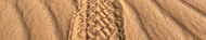 sand sand
