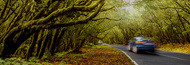 llp header image llp header image