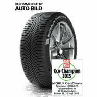 Tyre image