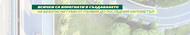 llp bg banner llp bg banner