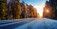 guide winter forest road guide winter forest road