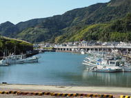 駿河湾 駿河湾