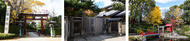 谷根千散歩 根津神社 谷根千散歩 旧安田楠雄邸庭園 谷根千散歩 須藤公園 谷根千散歩 根津神社 谷根千散歩 旧安田楠雄邸庭園 谷根千散歩 須藤公園