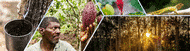 sustentabilidade header 1 sustentabilidade header 1