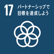 csr sdgs icon 17 csr sdgs icon 17