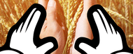 Bib's hand holding wheat
