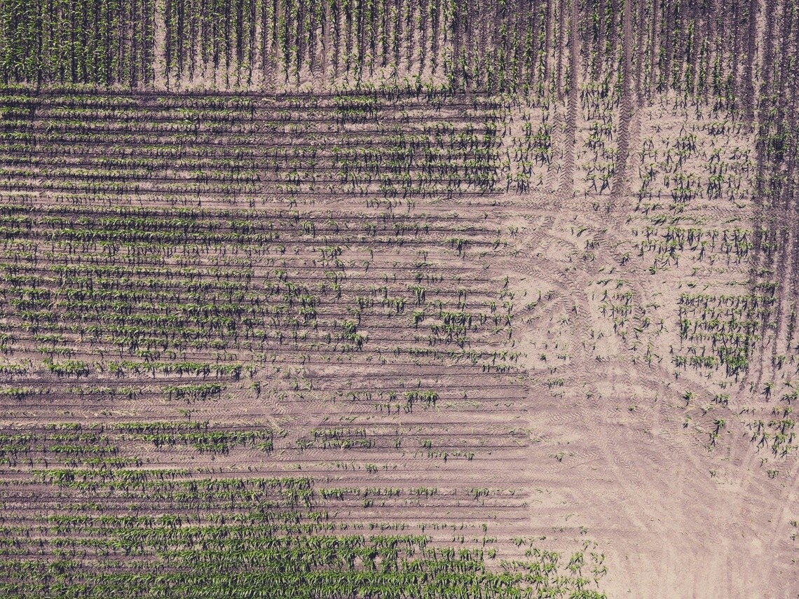 soil with tire tracks