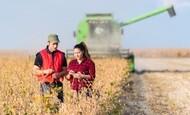 Young farmers in soybean fields before harvest