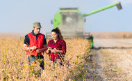 Young farmers in soybean fields before harvest