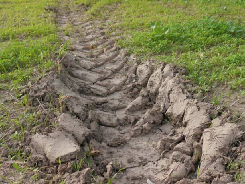 A rut is a longways indentation in the soil