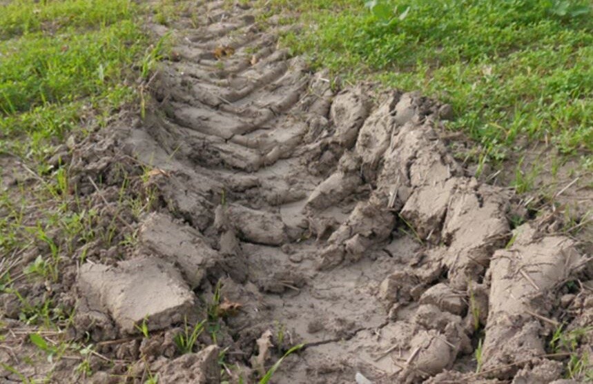 When ruts for, they can cause catastrophic consequences for crops