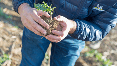 Productivity gains and soil protection
