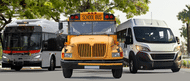 a city bus, school bus and airport transit parked together