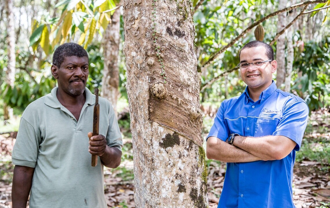 The future of tyre industry: how Michelin commit to people, planet and profit