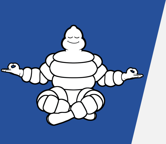 this is the essence of michelin total