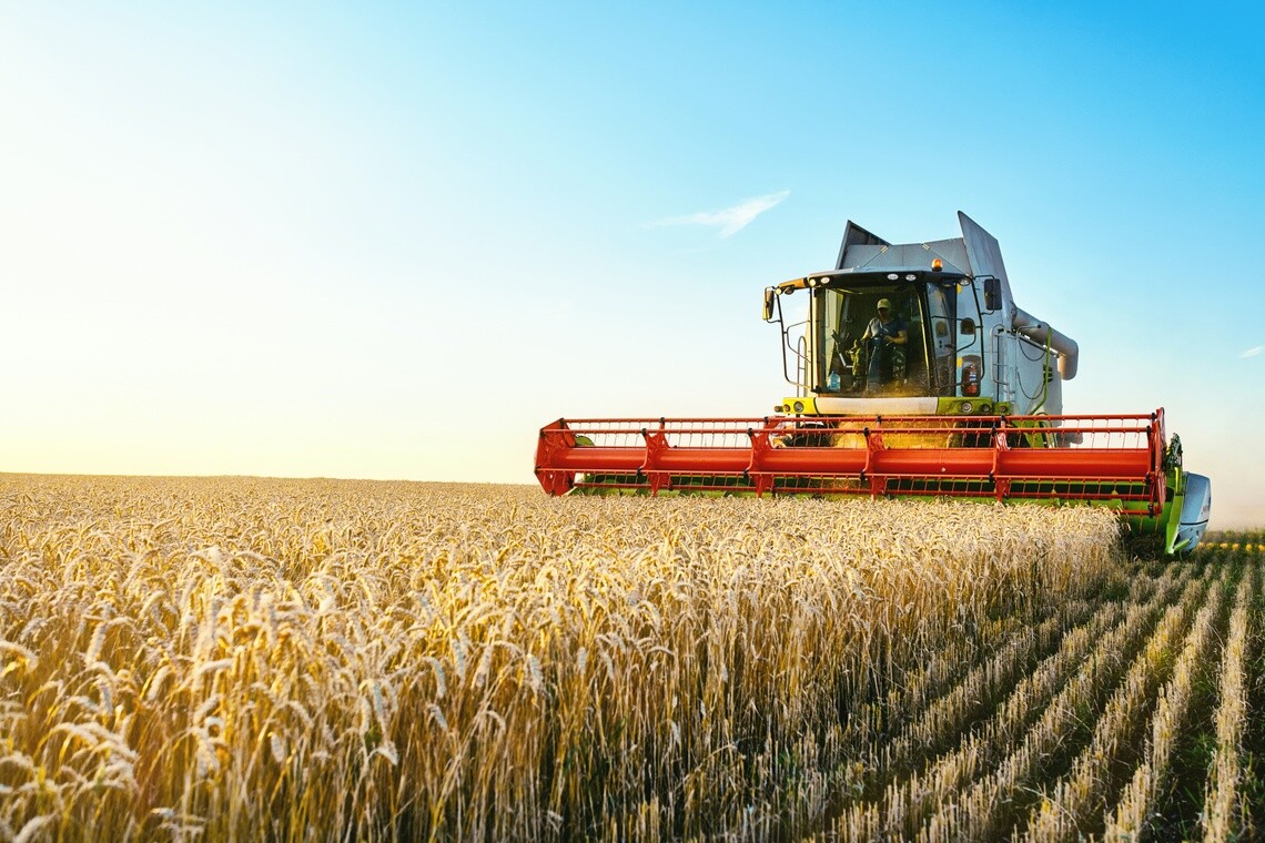 Harvester cutting wheat against a backdrop of blue sky.