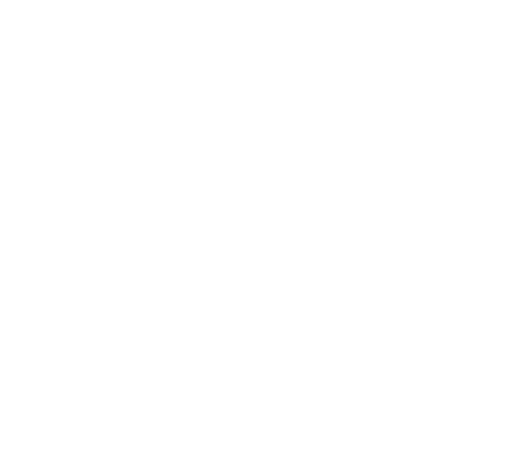 form icon