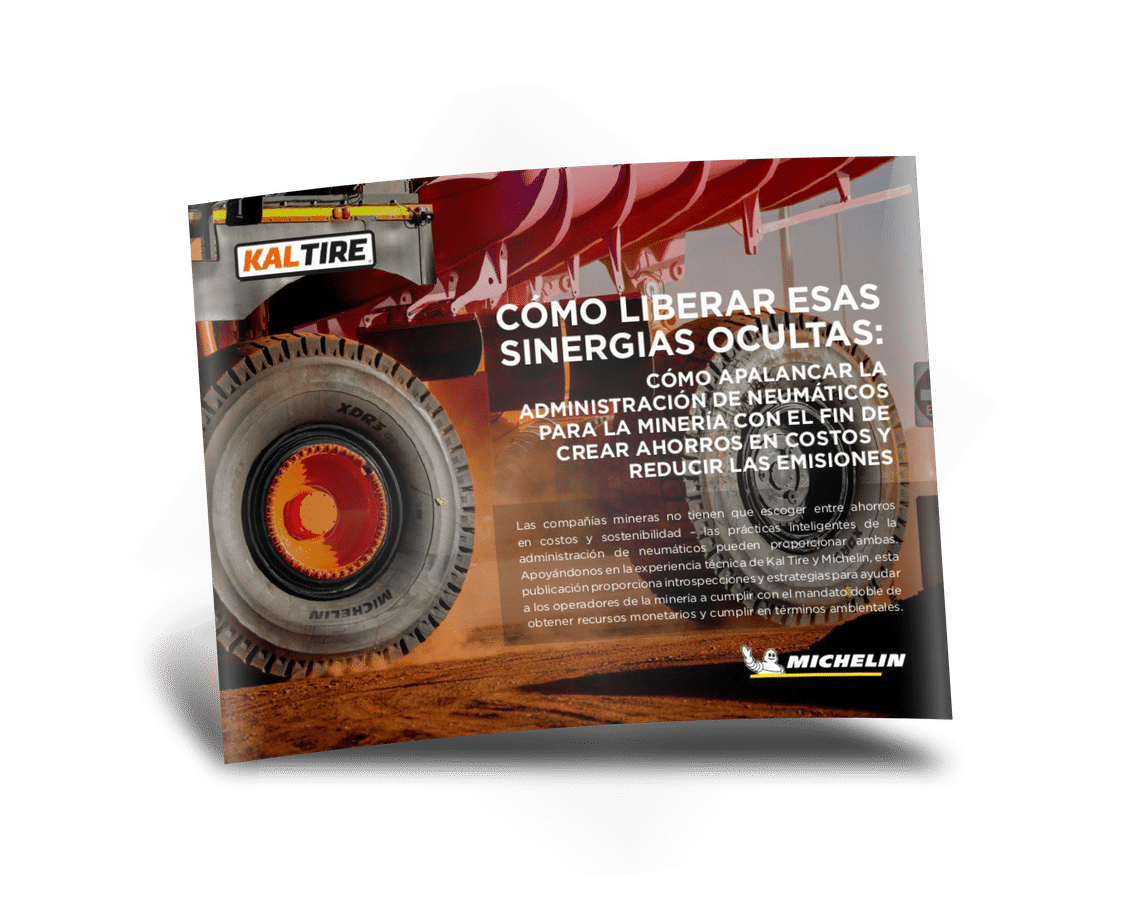 Ebook mineras: Liberar sinergias ocultas