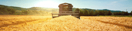 How to choose the right agricultural tyres for a combine harvester