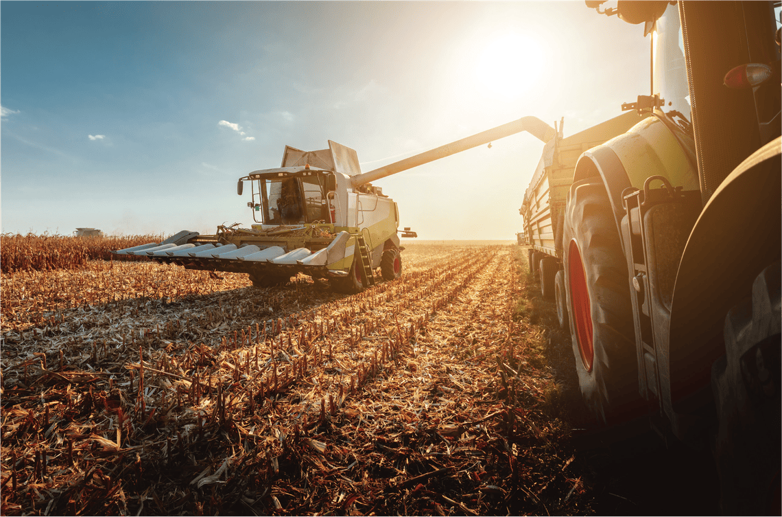 Image of harvesting at a farm