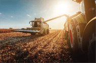 Image of harvesting at a farm