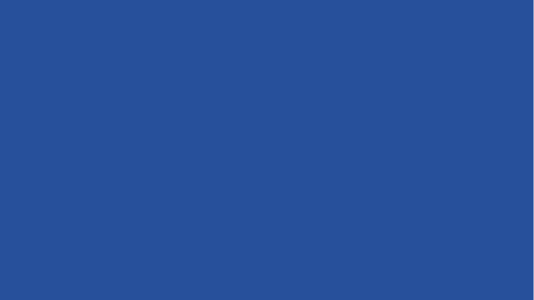 Michelin blue block