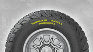 bfg faq tyre 15