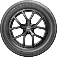 4w 1602 488340 tire bfg advantage2suv 255 slash 55 r19 0 0 td 4 90