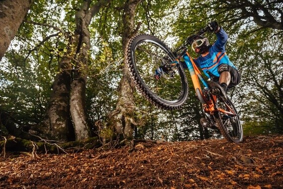 MICHELIN WILD ENDURO FRONT MAGI-X COMPETITION LINE - Bicycle Tire ...