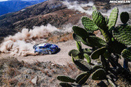 michelin 2020 wrc guide wrc top page 02 whats wrc button