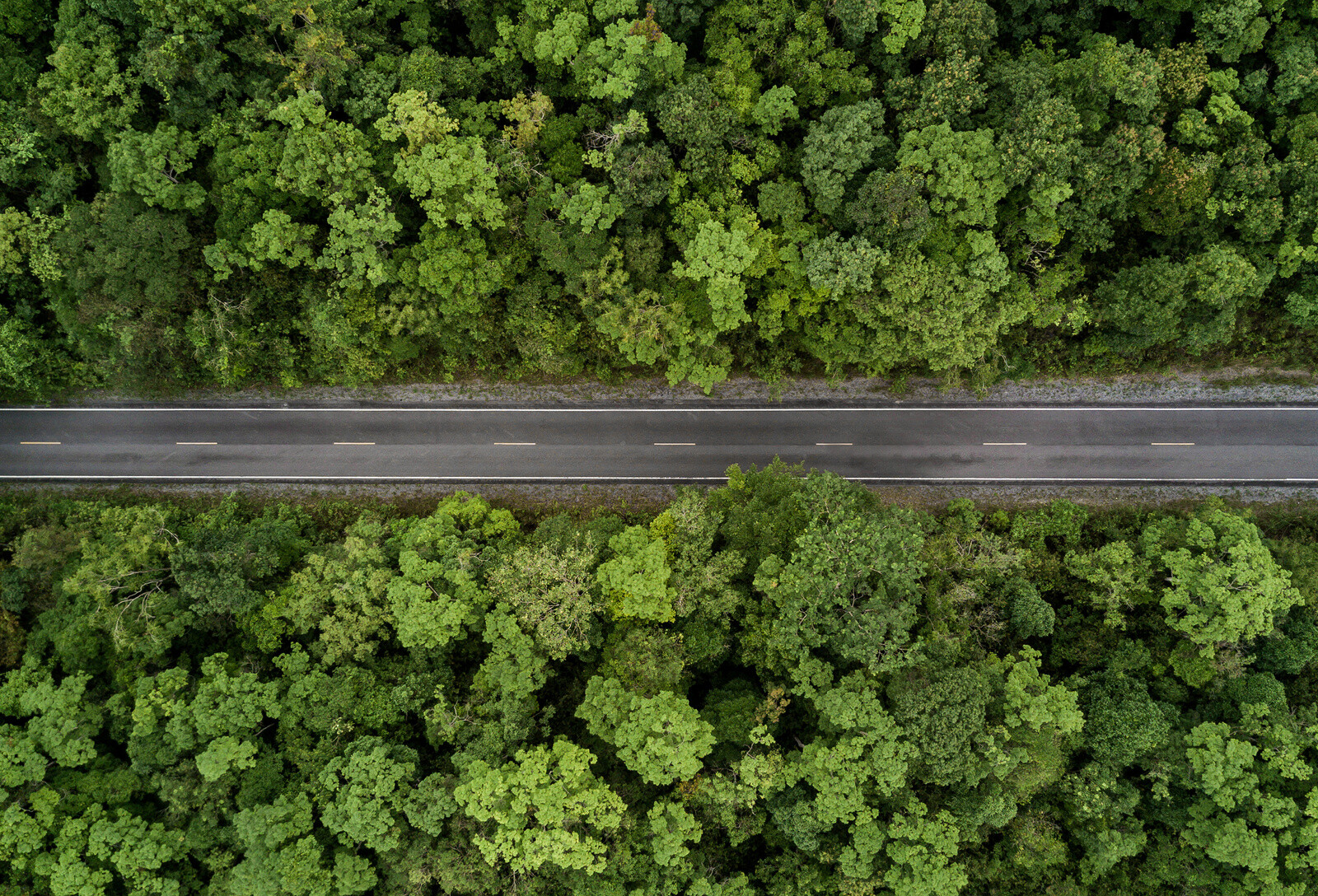 MICHELIN PRIMACY SUV+ ยางเอสยูวี | Michelin