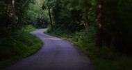 product bg 04