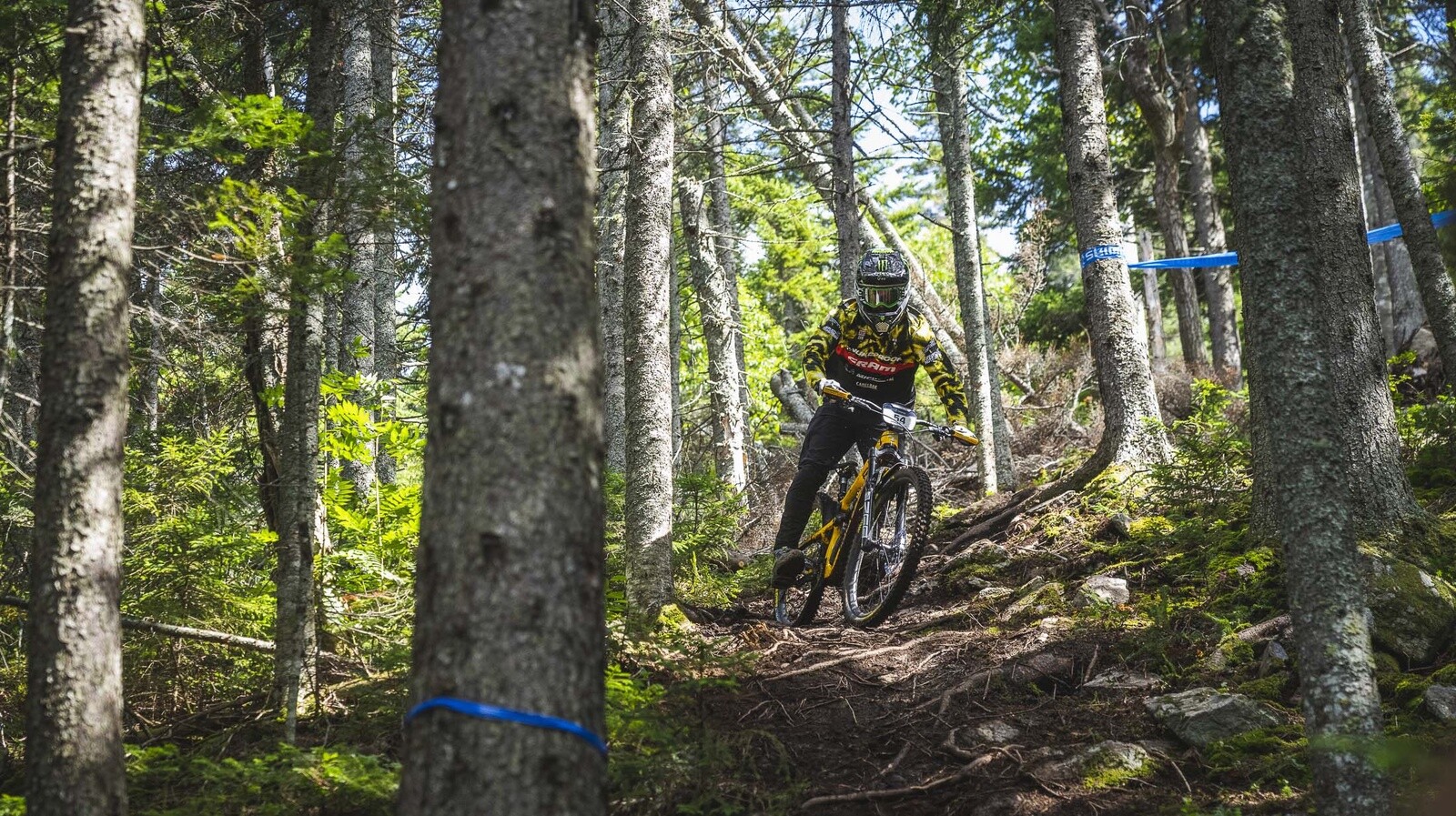 michelin mountain bike