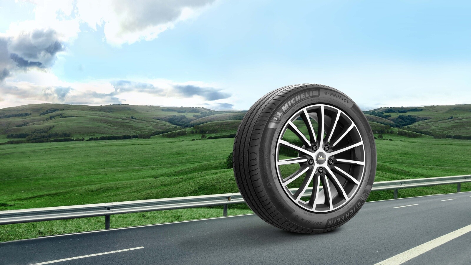 Immagine banner Michelin ruota su sfondo prato in collina
