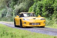 viper
