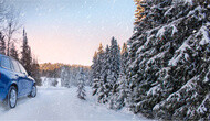 blue car in winter forest