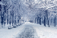 Den ideala däcktemperaturen kan knappast upprätthållas på en snöig eller isig väg