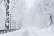 snowy forest background