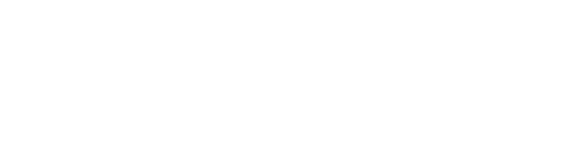 white MICHELIN Consulting and Services logo
