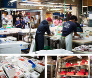 fish market