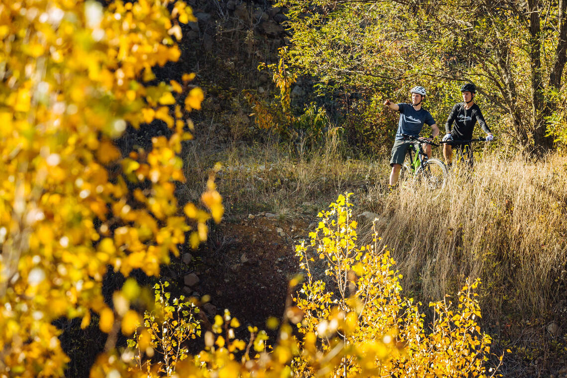 michelin e bike wild